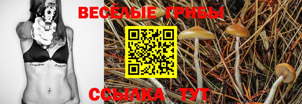 Псилоцибиновые грибы Cubensis  Галлюциногенные грибы GOLDEN TEACHER  купить наркотик  Усолье-Сибирское  Вход с VPN 