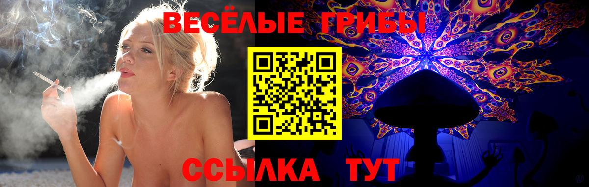 Галлюциногенные грибы мицелий Усолье-Сибирское
